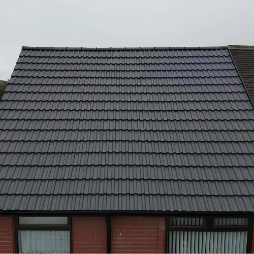 Recent roof project