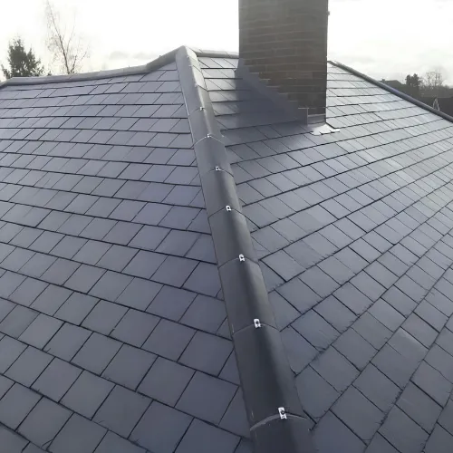 Recent roof project